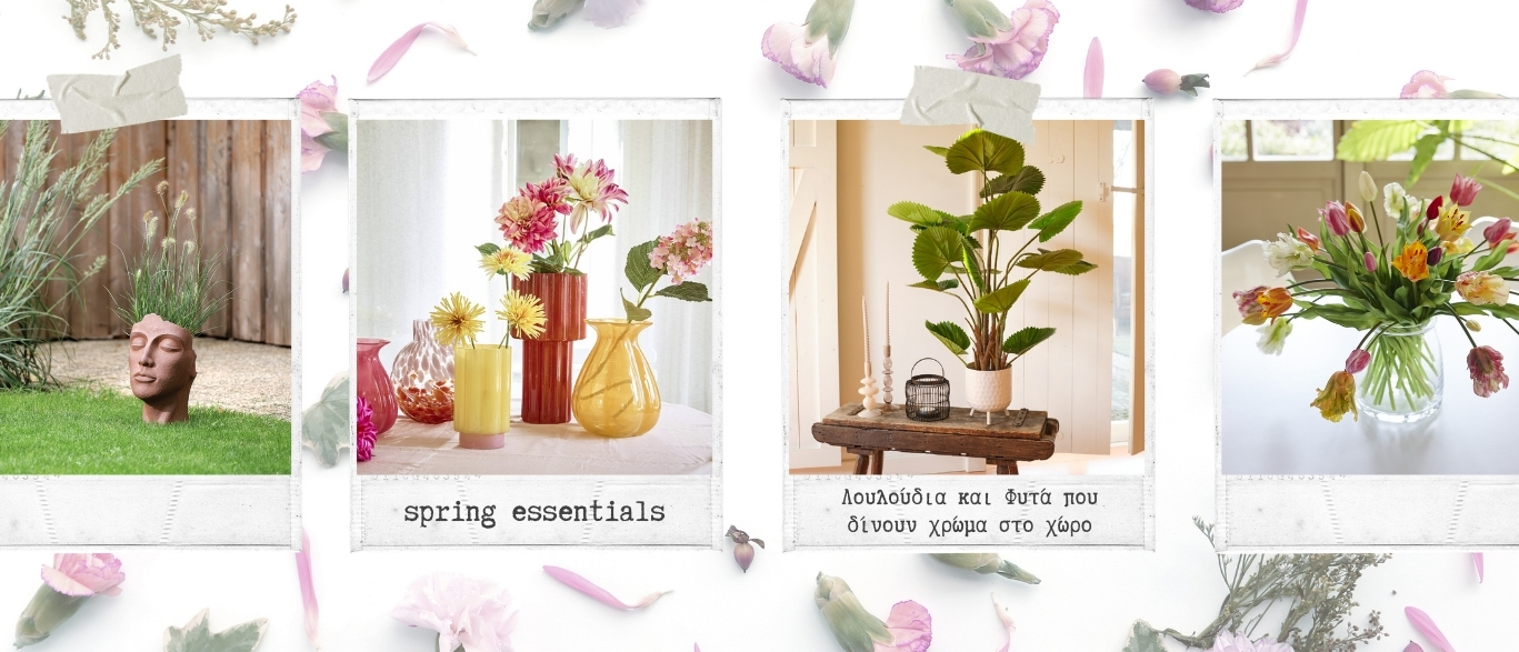 xenodoxiako/hotel-show/metropolitan/ho-re-ca/diakosmisi/diakosmisi-organosi/louloydia-fyta/decoration/decoration-and-organization/flowers-plants