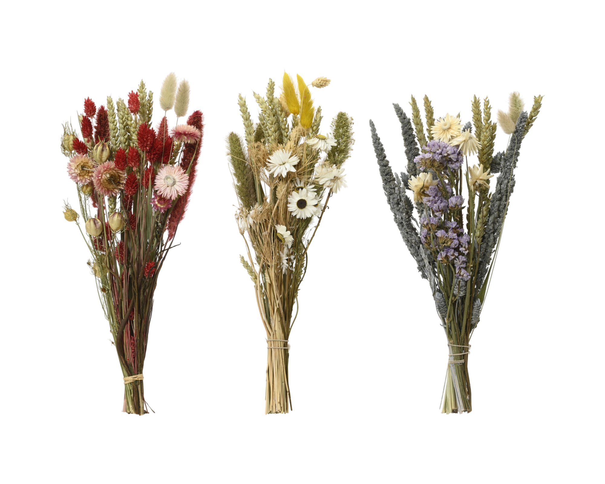 Panets/Flowers