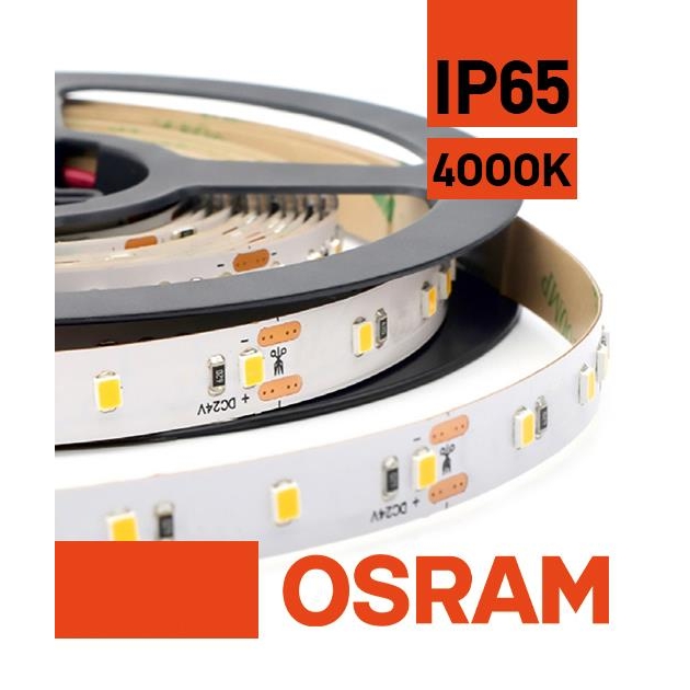 ΤΑΙΝΙΑ LED OSRAM BASIC FLEX 24V 8.6W/M SHORTPITCH 120LEDS/M Συνθετικό 500x1.03x0.1