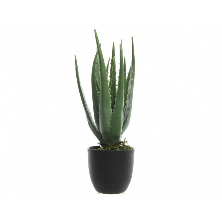 ΠΑΧΥΦΥΤΟ ΣΥΝΘΕΤΙΚΟ ALOE VERA ΣΕ ΓΛΑΣΤΡΑ DECORIS Συνθετικό 25*Y35