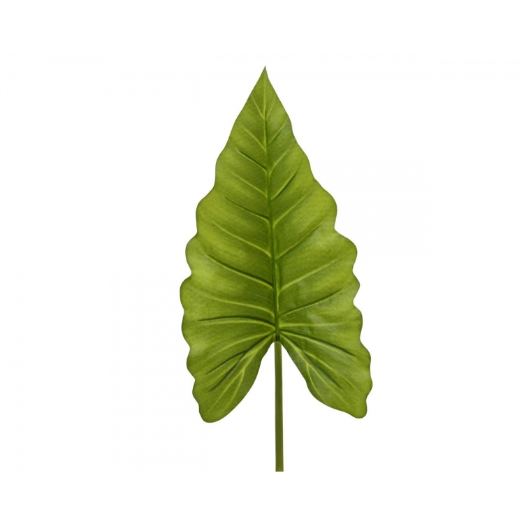 ΚΛΑΔΙ CALLA ΠΡΑΣΙΝΟ EVERLANDS Συνθετικό M0.22P0.08Y0.89
